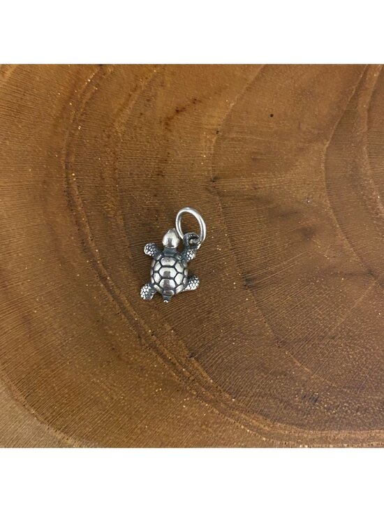 James Avery Jewelry - James Avery Turtle Charm, Sterling Silver